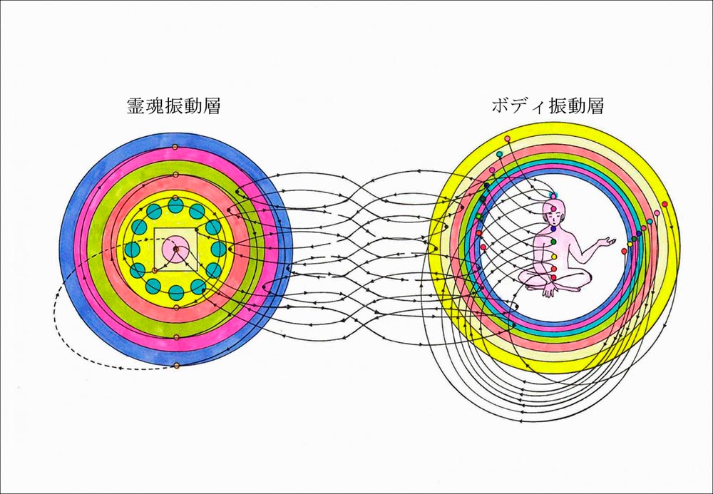 人間のボディ振動層とエネルギー循環図